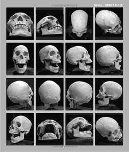 Screen Shot 2013-02-05 at 8.42.00 AM