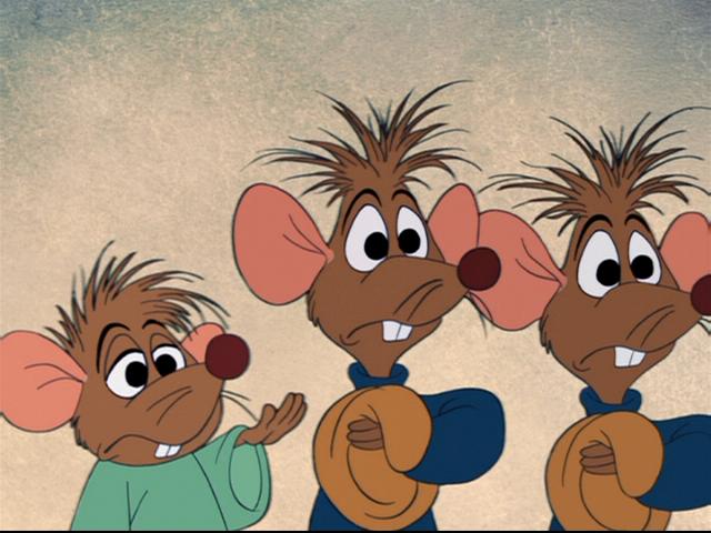 cinderella mice