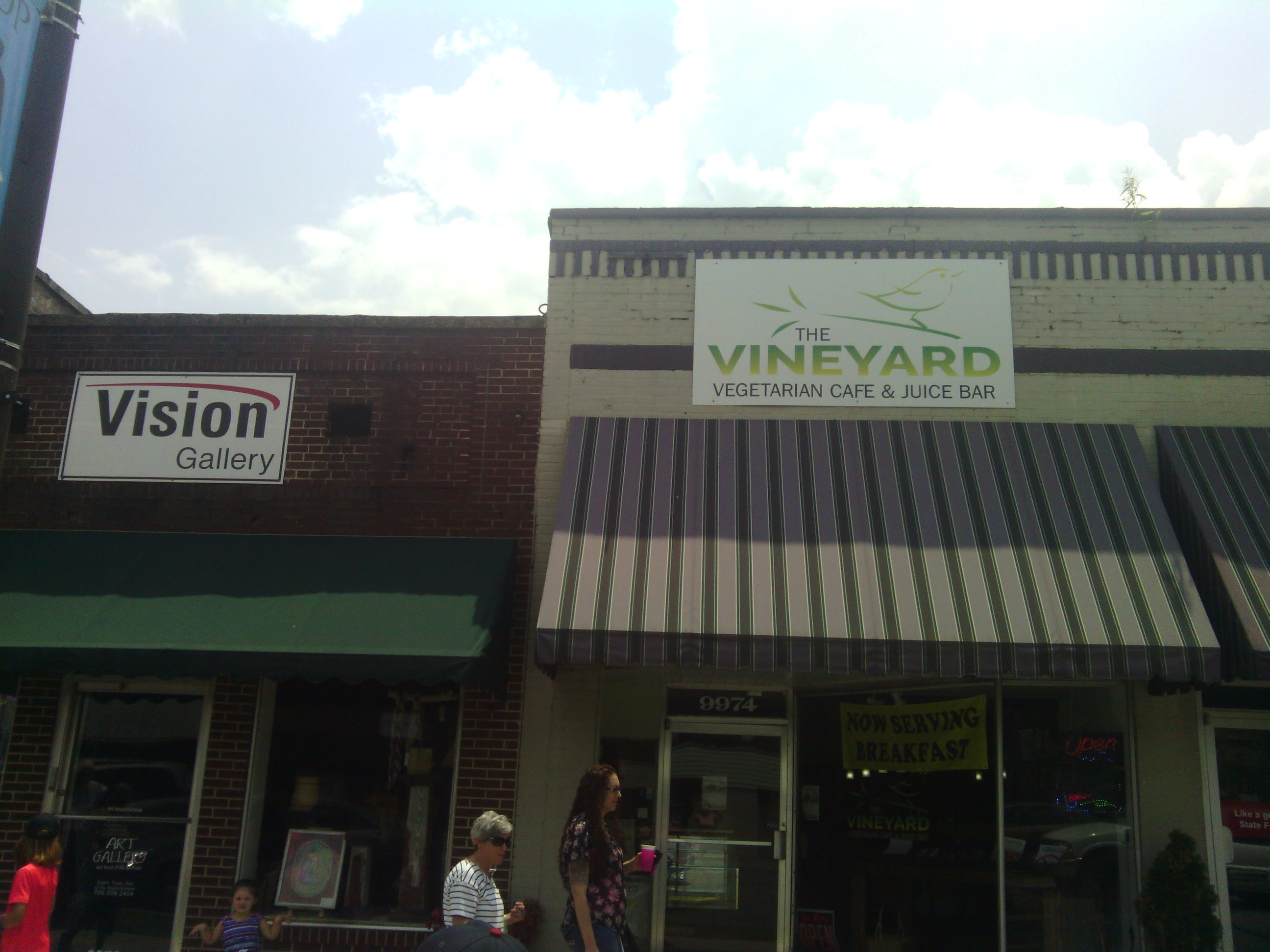 vineyard