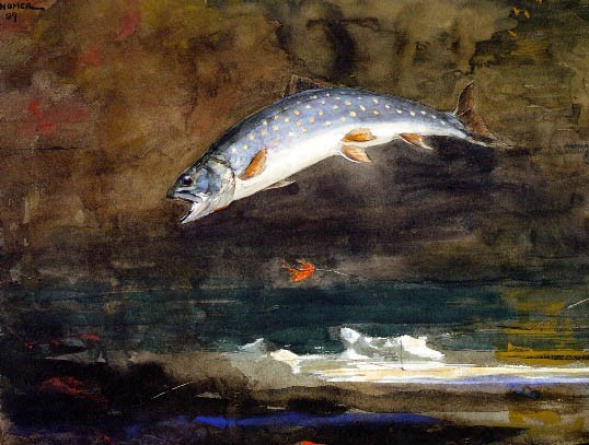 jumping trout