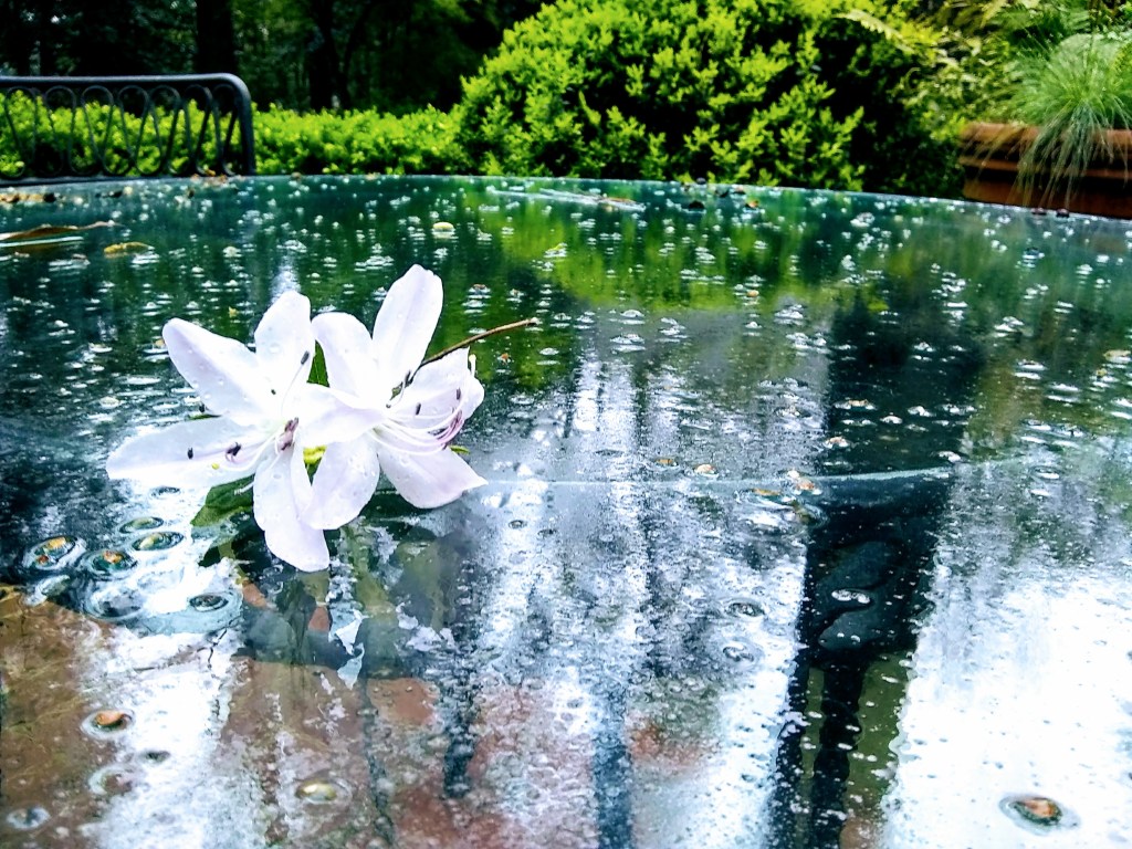 Spring
