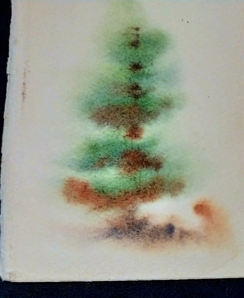 Fraser Fir Boughs