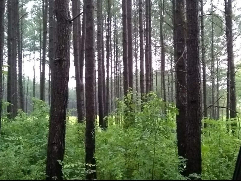 A Tribute to Randall Allen: A Harvest of&nbsp;Goodwill